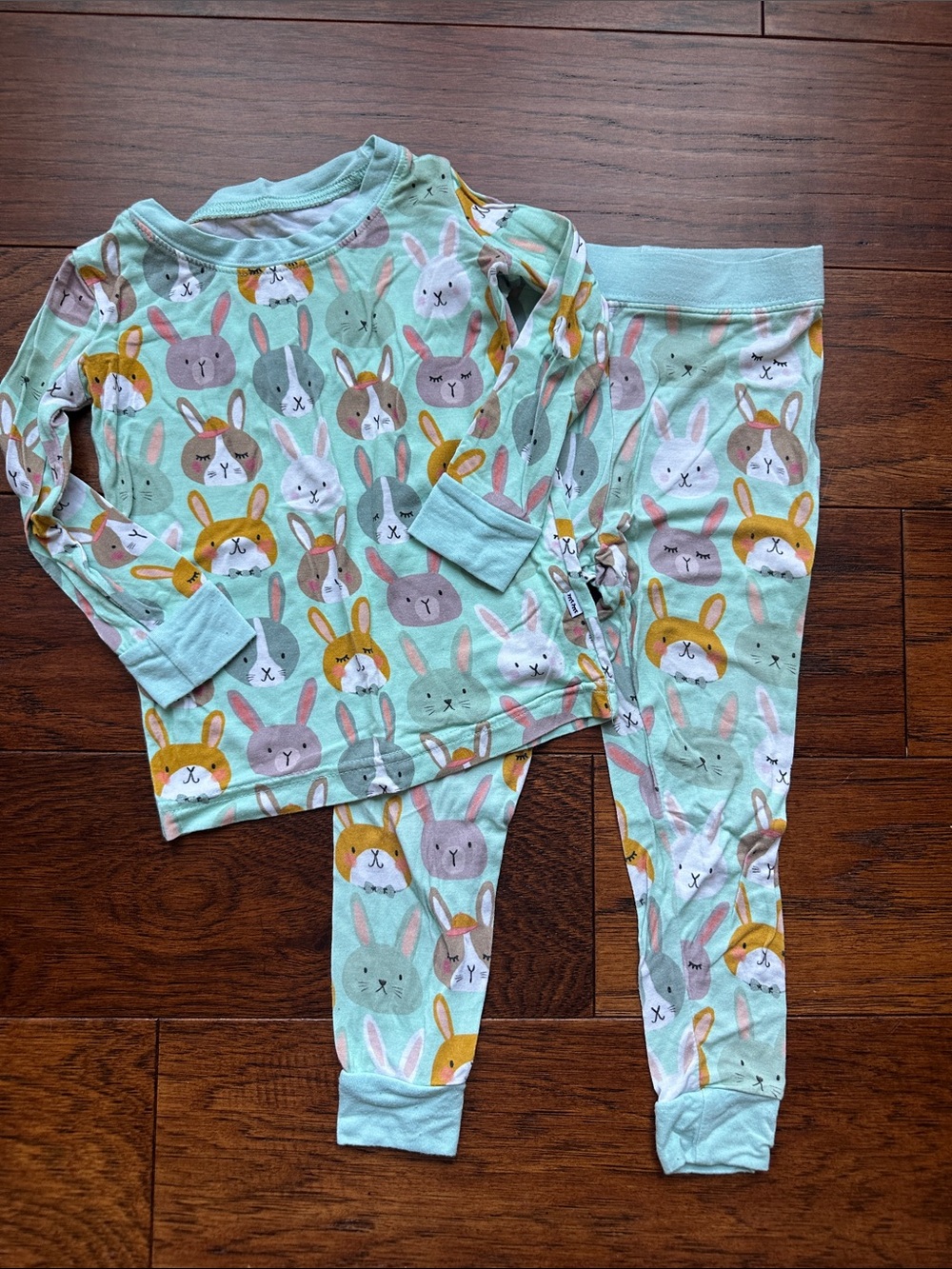 Little Sleepies Mint Bunny Print Pajama Set with Pastel Accents